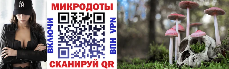 Галлюциногенные грибы Cubensis  это какой сайт  Нерчинск 